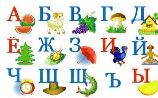 Несколько правил, как выучить русский язык быстро и эффективно